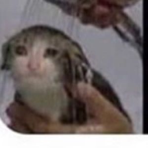 Meet your Posher, Zaher